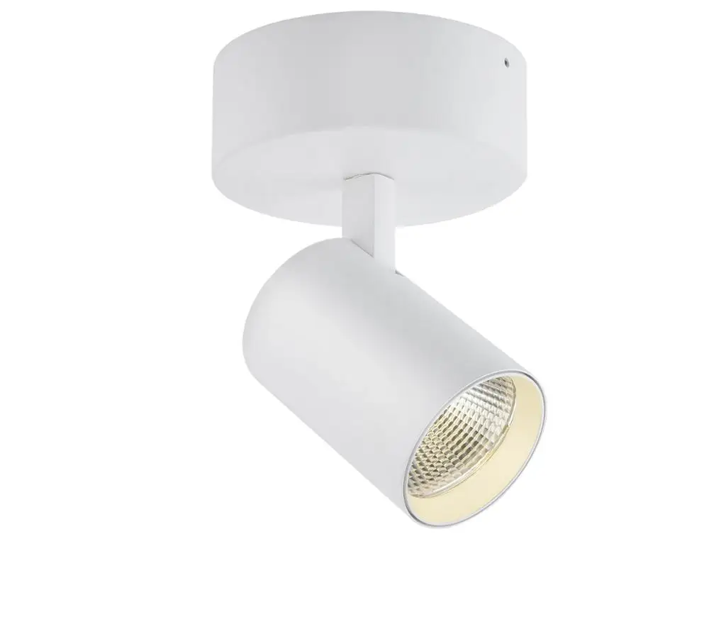 Superior Quality 30w Surface Mounted Architectural Cob Led Ceiling