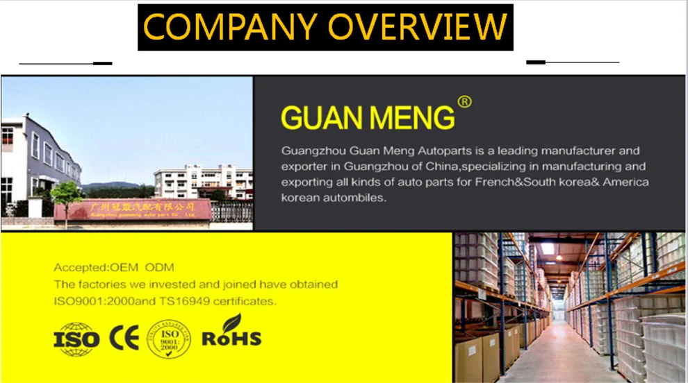 Company Information.png