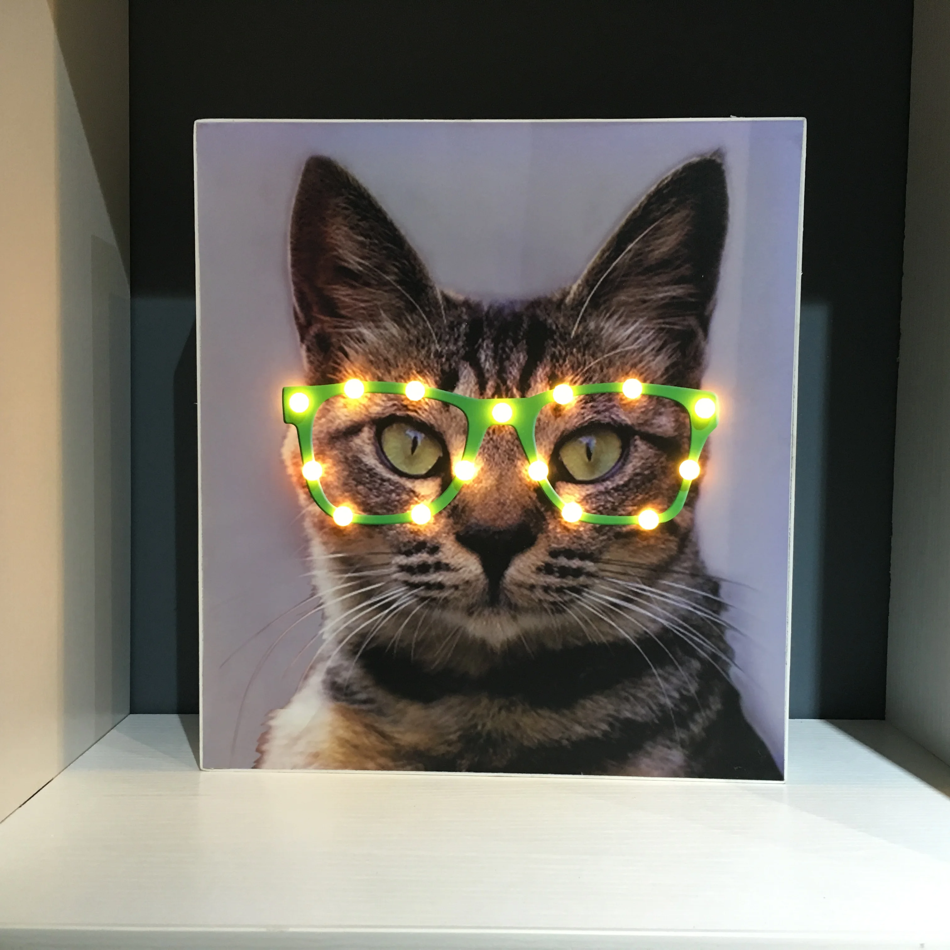 Cat Face New Style MDF Wooden Picture Photo Frame With Led Light