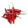 Natural Capsaicin powder in bulk stock, worldwide fast delivery