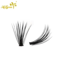 

Hollyren 0.05&0.10mm Private Label Rapid Cluster Individual Flare Eyelashes