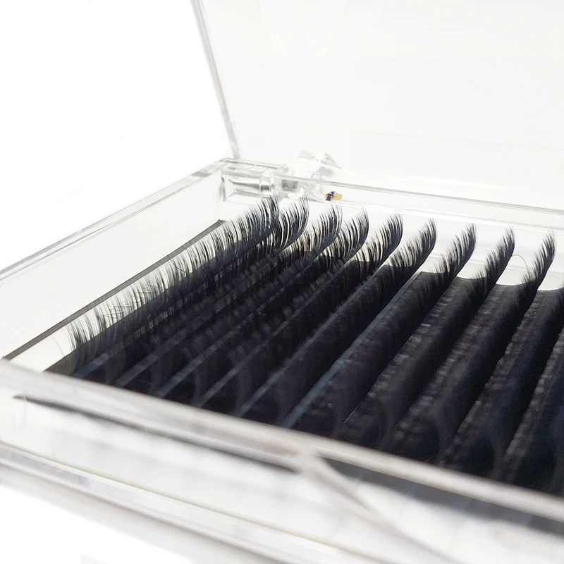

Top Quality Private Label Eyelashes with Eyelash Packaging Box, Natural black