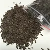 2019 Organic red rosa lettuce seeds for micro greens