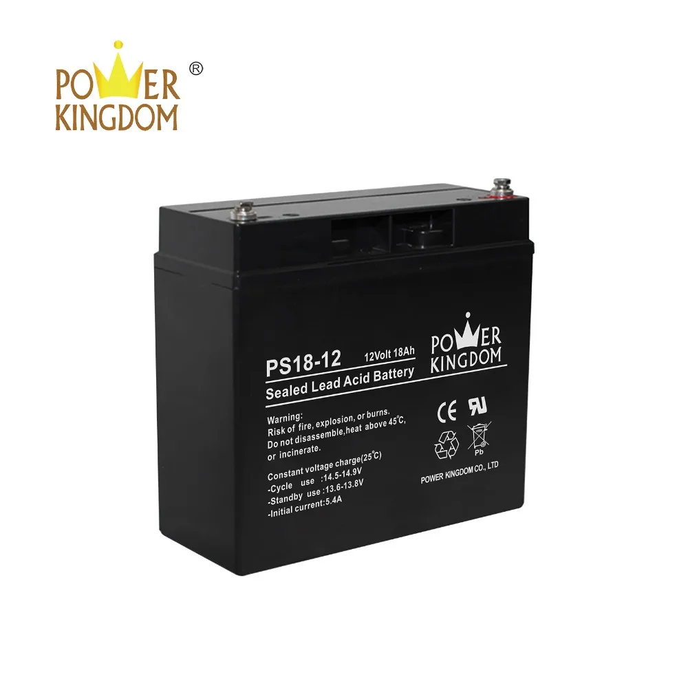 Power Kingdom Custom agm truck battery factory deep discharge device