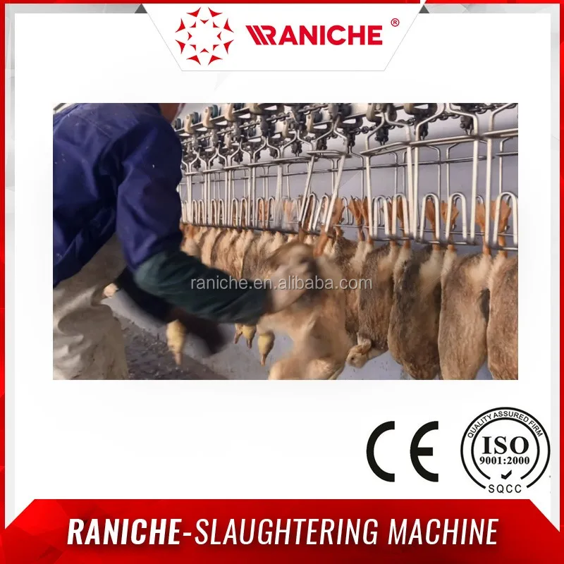 100bph10000bph Poultry Chicken Slaughter Abattoir Processing Equipment