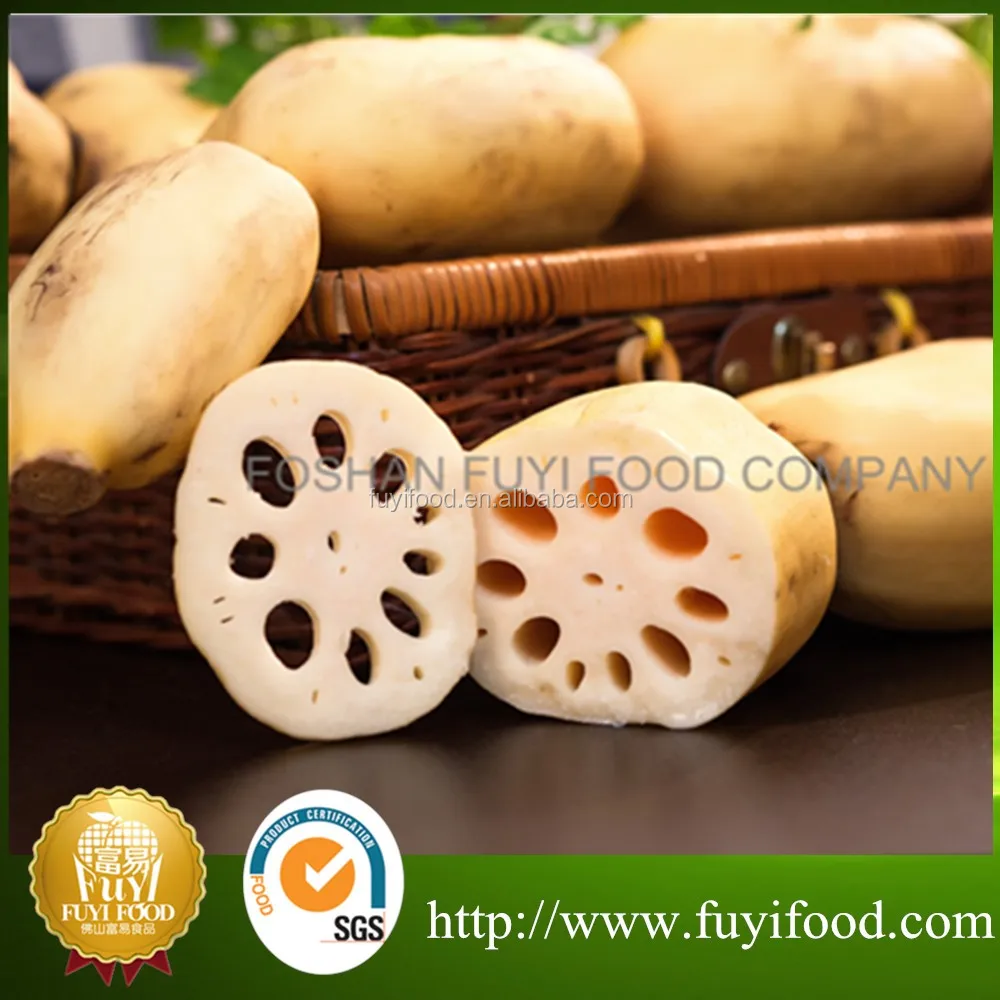 Chinese Fresh Vegetables Supplier,Lotus Root With High Quality Buy Lotus Root,Fresh Lotus Root