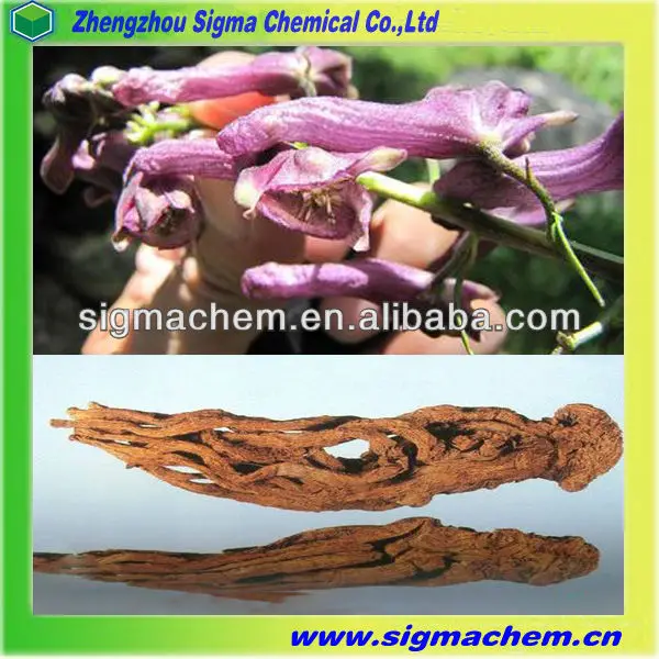 Natural Material Aconitum Sinomontanum Nakai Root.jpg