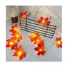 Trade Assured Manufacturer christmas led garden maple leaf string light
