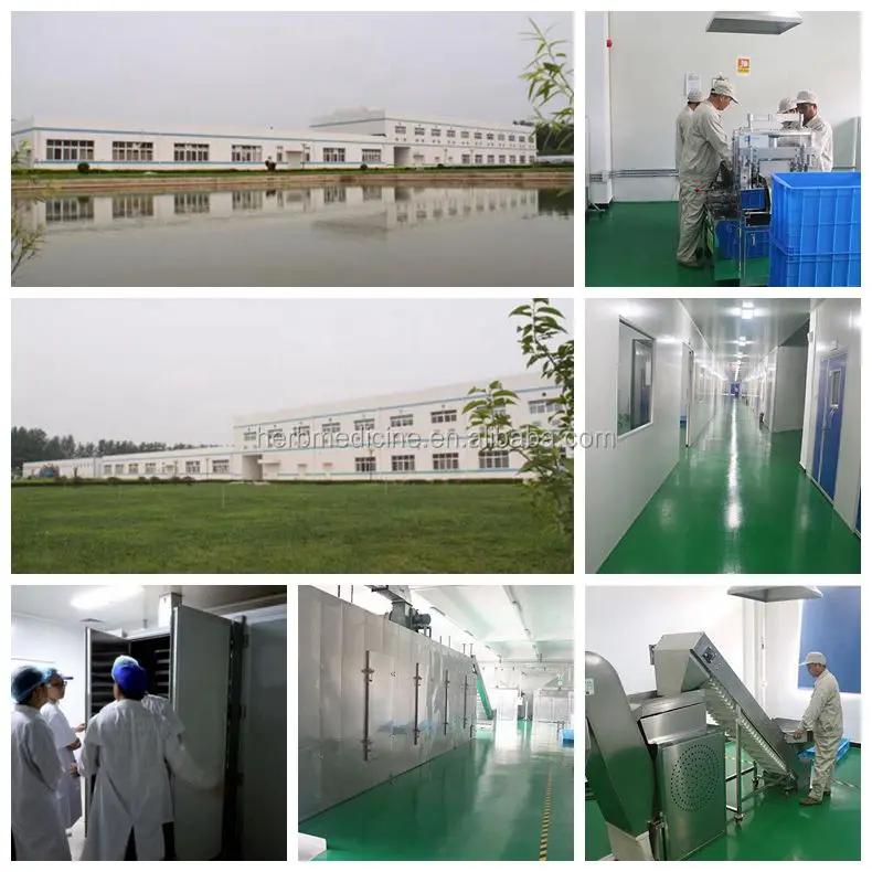 production line.jpg