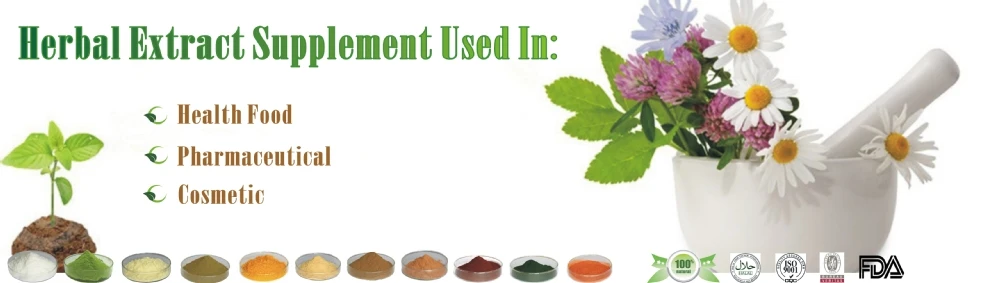 photobank -  -  (2).jpg