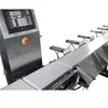 Vegetable Weighting Sorting Machine for tomato, beans,pear, kiwi fruit, apple JZW-100g
