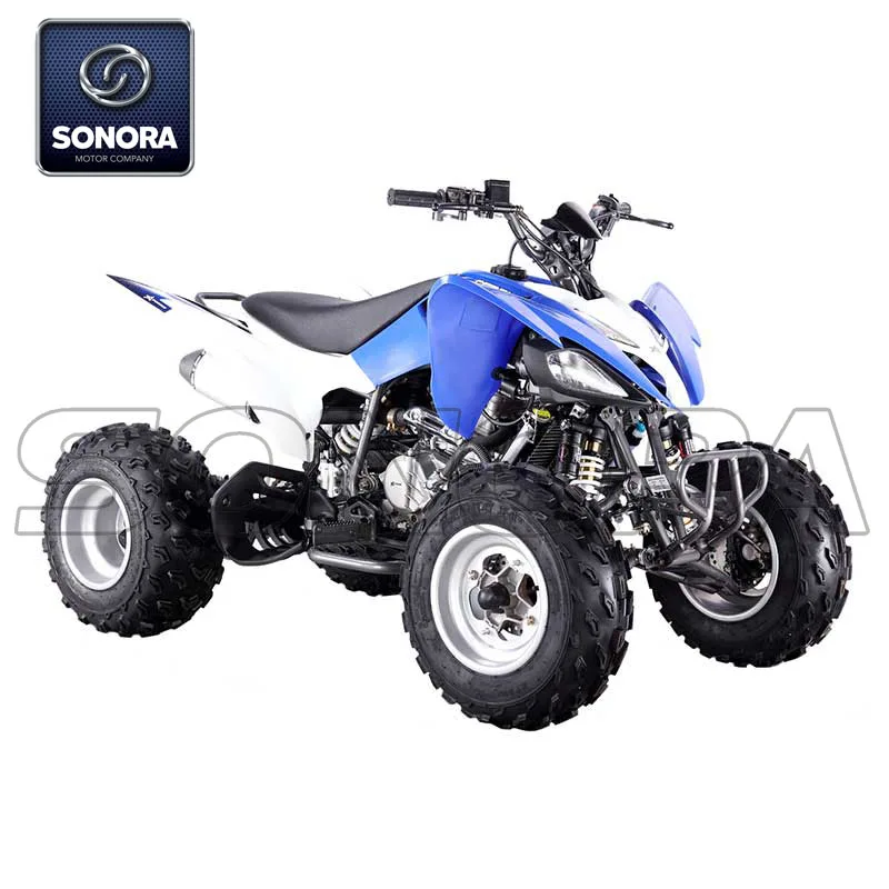250W PENTORA (1).jpg