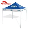 UV Block sun shade canopy tent for car,Steel frame advertising folding tent 3x6 m