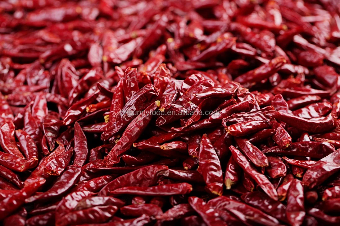 High Quality Chilli Whole Dehydrated