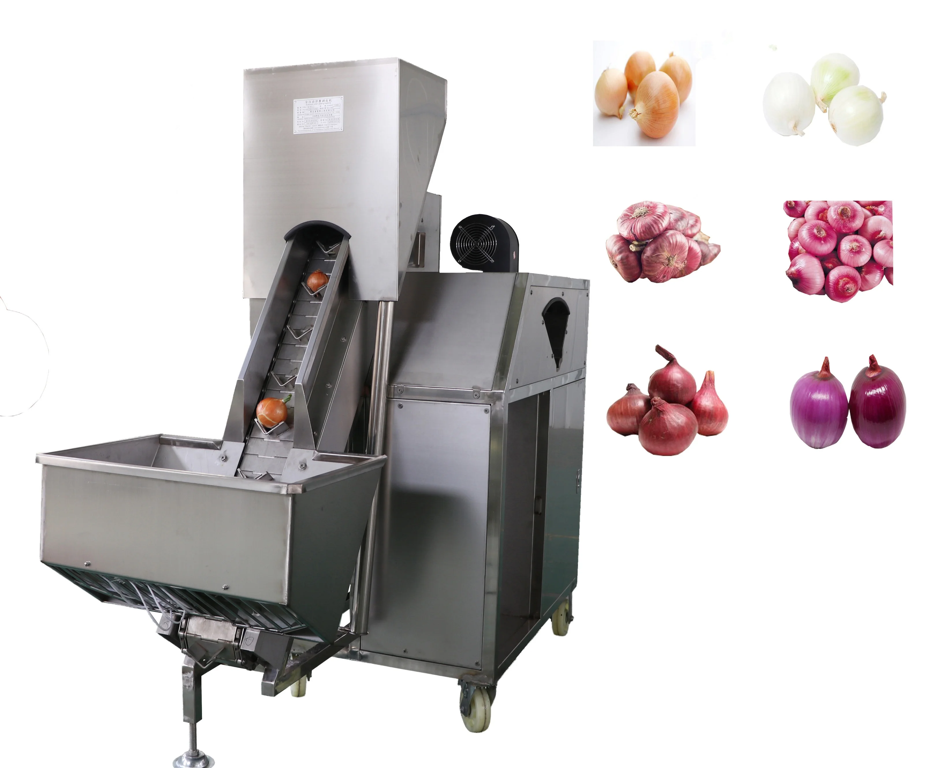 One belt onion peeling machine  WT/8613824555378