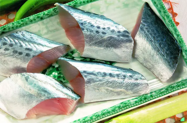 Frozen Spanish Mackerel Steaks Buy Spanish Mackerel Steaks Spanish Mackerel Frozen Spanish Mackerel Steaks Product On Alibaba Com