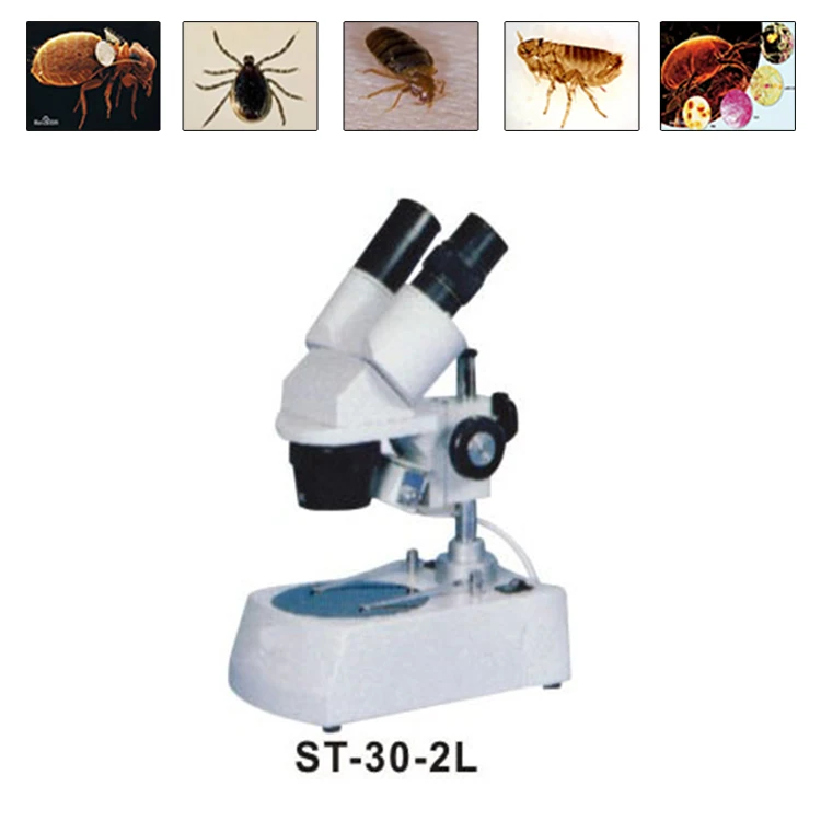 Binocular Biological Stereo Microscope