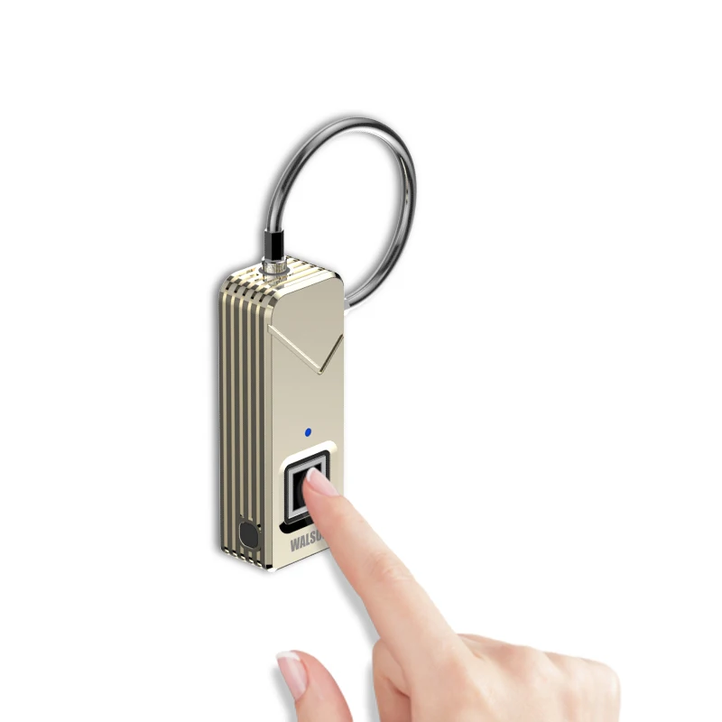 fingerprint travel lock