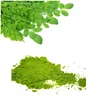 High Quality Organic Moringa Dried Leaf Pesticide Free