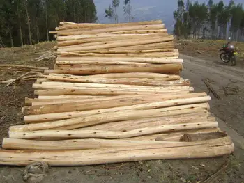 Acacia Wood Cheap Price And High Quality - Buy Acacia Wood,Acacia Wood