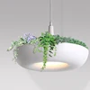 Modern plant chandelier and simple save energy lamp & coffee plants creative lighting