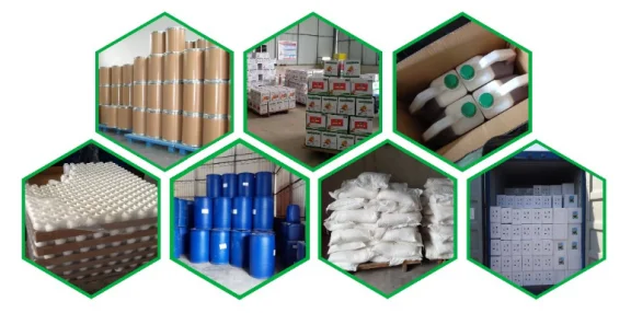 paste-pic-dp_uuid_4j6n3