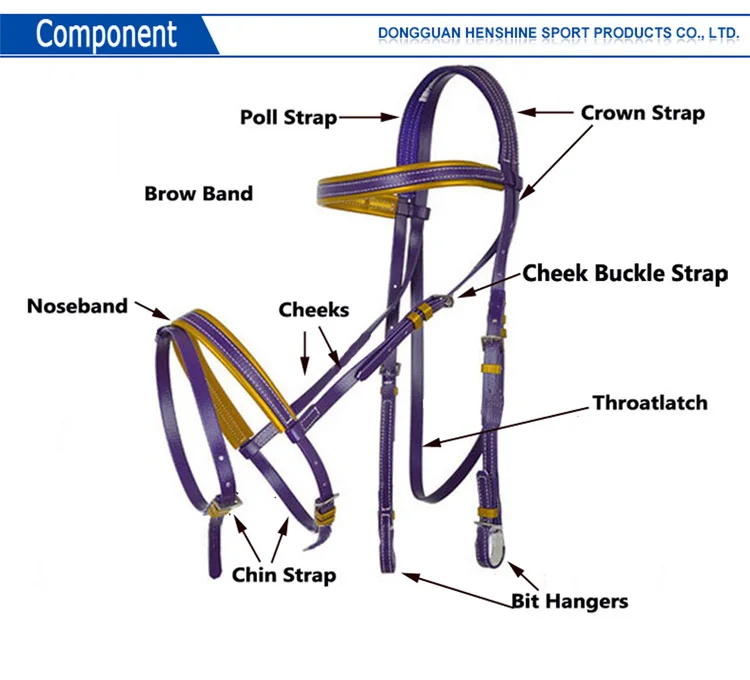 Wholesale Pvc Horse Training Equipment Western Horse Bridle For Sale