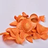 Freeze dried carrot tops frozen type processing dried carrot flakes
