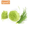 China quality supply 100% natural wholesale Barley Grass extract for keep diet lose weight free sample