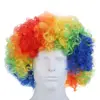 Clown Fans Carnival Wigs Disco Cap Hat Fun Joker Adult Child Costume Afro Curly Hair Wigs For Party AD2520