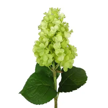 33 コーンアジサイの花 ライムグリーンアジサイの花 人工アジサイの花の高品質 Buy コーンアジサイの花 ライムグリーンアジサイの花 人工アジサイの花の高品質 Product On Alibaba Com