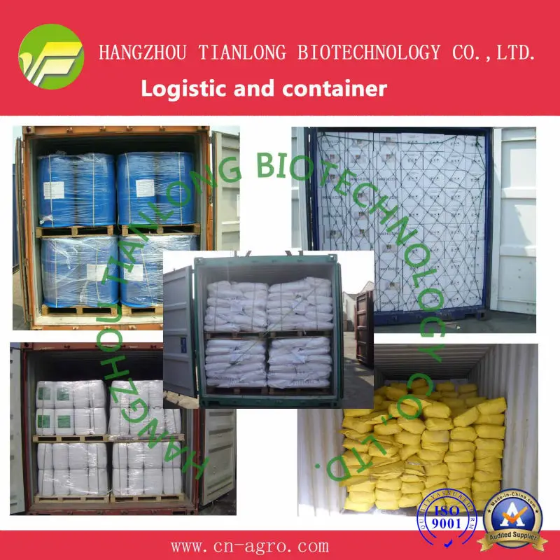 Logistic and container photo.jpg