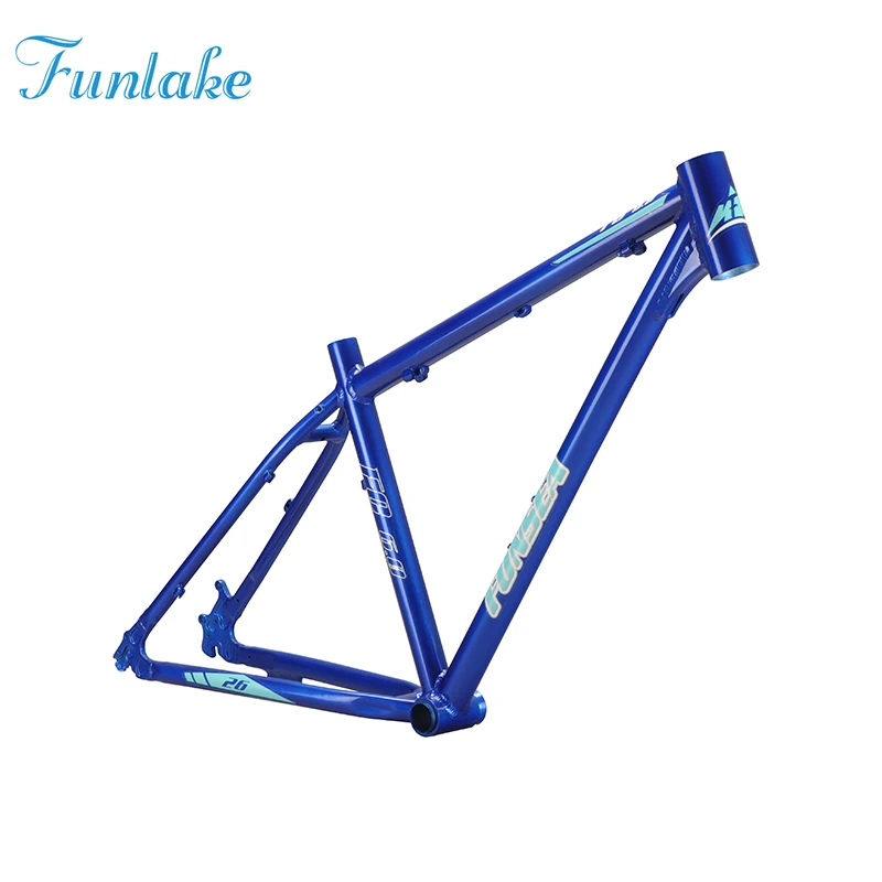 mountain bike frame (2).jpg