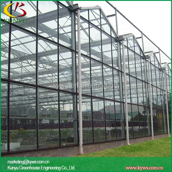 Venlo Roof Type Tempered Glass Greenhouse Greenhouse Glass Panels Buy Tempered Glass