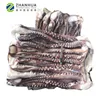 Sea frozen giant squid tentacles raw material in wholesale