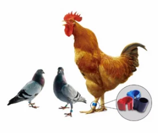 rfid Pigeon Ring