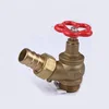 Single Headed Fire Hose Landing Valve Fire Hydrant Outdoor