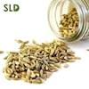 Zi Ran Hot Selling Dry Cumin Seed for Spice
