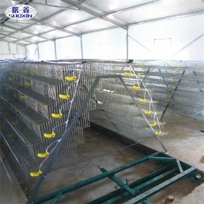 Alibaba Gold Supplier Quail Layer Bird Cage For Sale In Pakistan On Alibaba Buy Quail Layer