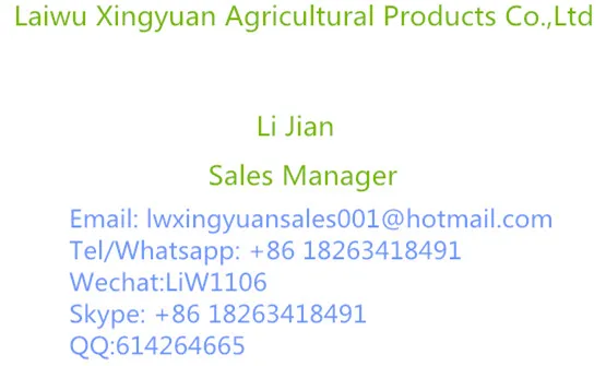 Sichuan green pepper powder