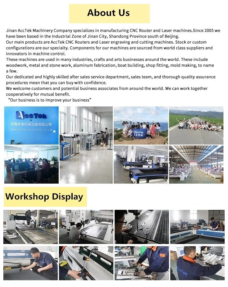 ACCTEK CNC 1325 FIBER