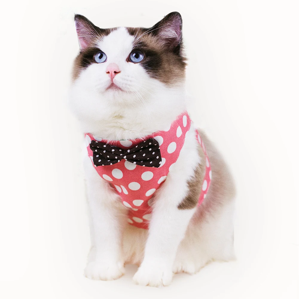 

Marvelous Cat Harness And Leash Kitten Camo