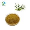 Organic Olive Seed Extract Powder