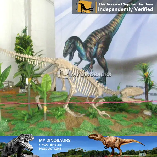 dinosaur skeleton replicas