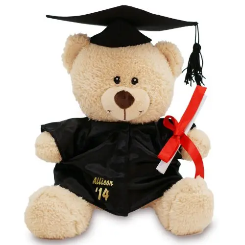teddy bear with cap