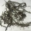 1004 Ou Ya Shui Long Gu High Quality Polypodium Leucotomos Extract