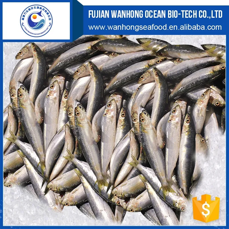 Fresh Seafood And Frozen Delicious Bulk Sardine Buy Frozen Fresh
