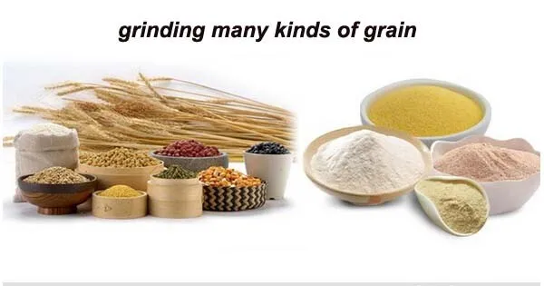 mini sugar mill .jpg