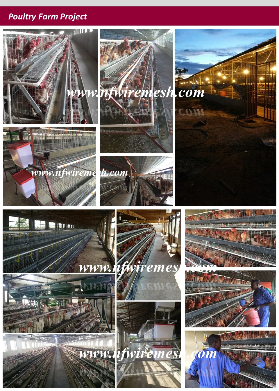 2016 Africa hot sale 3/4 layer chicken battery cage/design layer chicken cages (Guangzhou Factory)