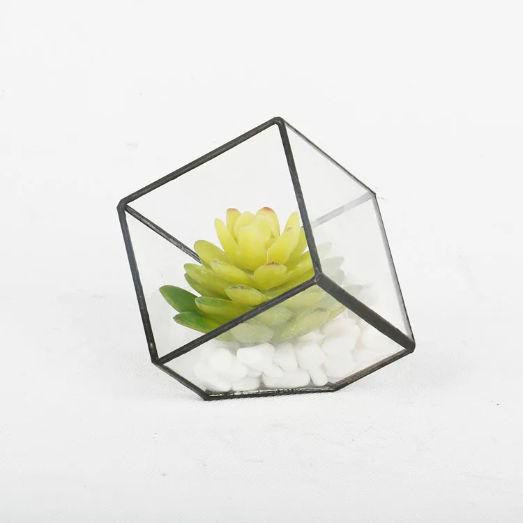 4 inch Mini Terrarium Geometric Glass Plant Pot Miniature Garden Succulents Ferns Kit Box